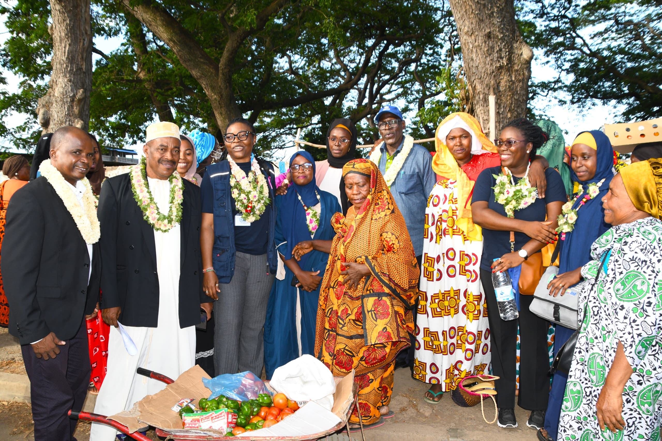 image Fadesim accompagne les vendeuses et coopératives agricoles de Fomboni